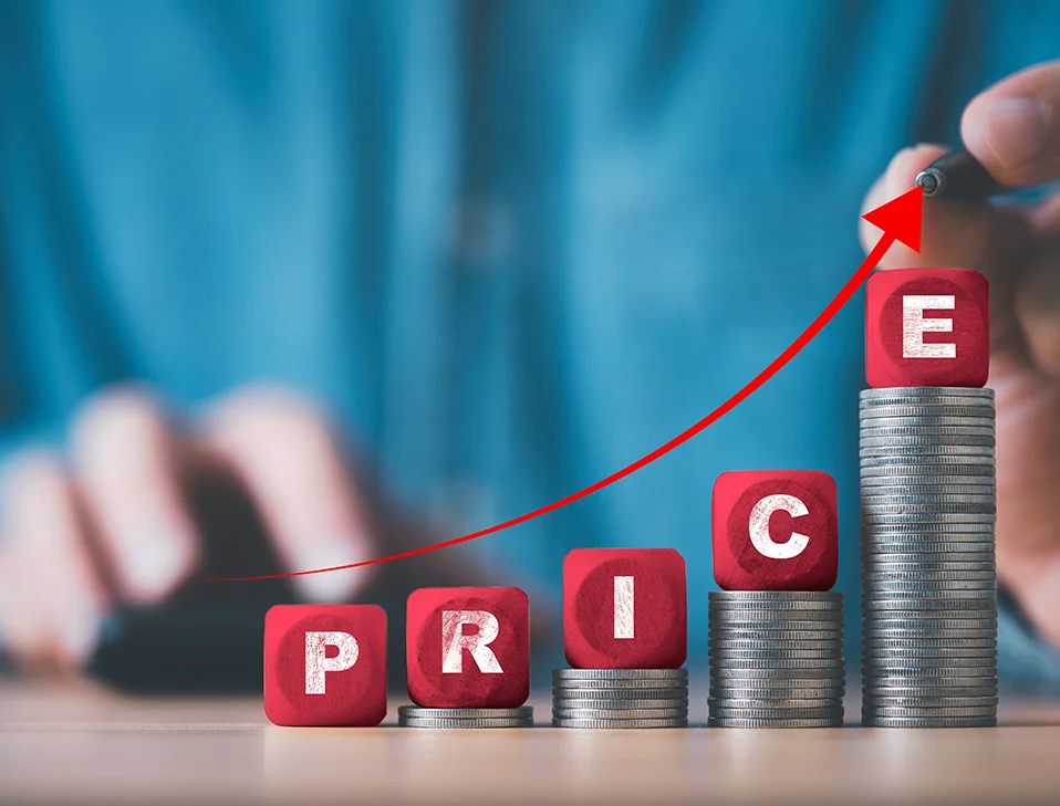 Dynamic-Pricing-Strategies-How-to-Maximize-Profit-Margins